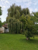 Camp Slivenec