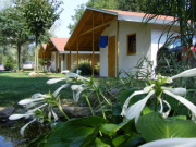 Autocamp Erika