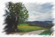 Farma Busil