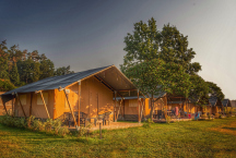 Camping PRIMA Safari stany