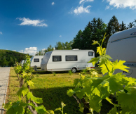 Marina Glamping Nová Živohošť místa pro karavany s el.přípojkou