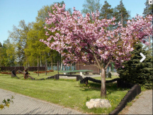 Autocamp OASA Staňkov 