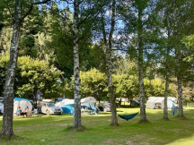 Camp Dolce *** 