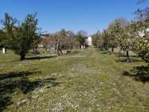 Camp Slivenec 