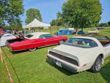 Autocamping Rozkoš  sraz USA automobilů