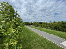 Vinařský Stellplatz Lednice 