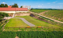 Stellplatz Panorama Čejkovice 