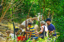 KEMP ŠIKLAND - největší zážitkový areál na Vysočině  