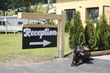 Camping Panorama Lipno 