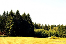 EKO Farma Camp Valdek  
