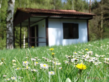 Kemp Vltavín Jaro ve Vltavínu