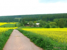 Camping Bukovina Buiten 