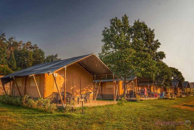 Camping PRIMA Safari stany