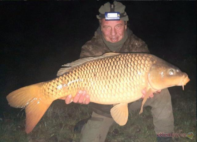 Rybářský kemp u Labe 