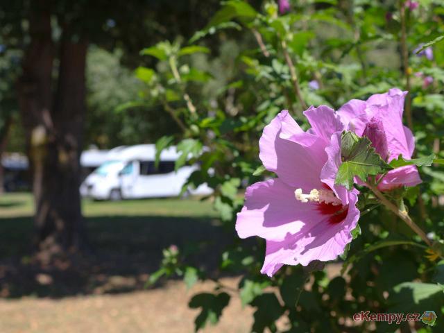 Thermal Camping Zalakaros 